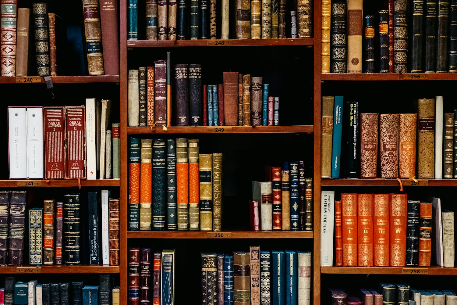 An institutional reading room lined with books.